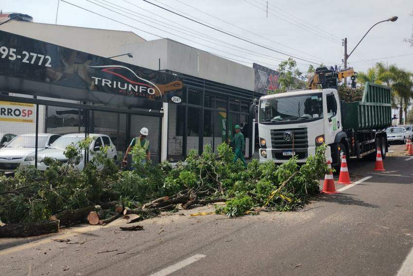 Equipe da força-tarefa da Prefeitura realiza desobstrução de vias, além de retirada de galhos e árvores caídas