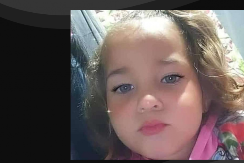 Menina De 5 Anos Morre Após Ser Picada Por Escorpião Em Piracicaba