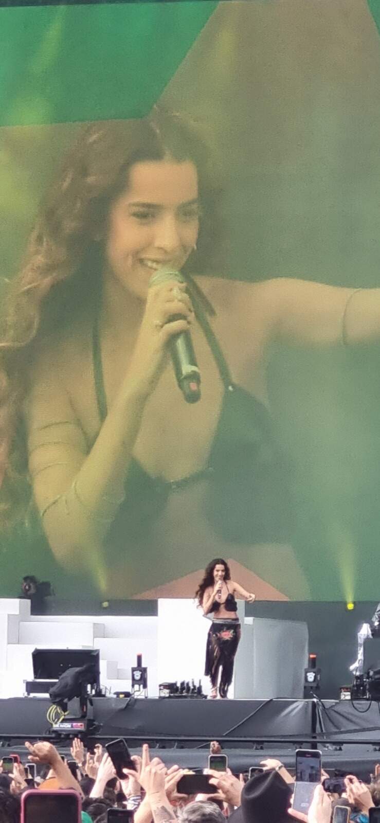 Marina Sena cantando Gal Costa