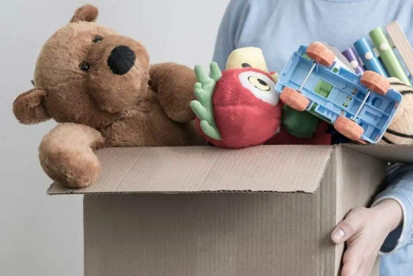 Jornal da Franca - Menina de 9 anos troca 200 brinquedos por alimentos para  famílias carentes - Jornal da Franca