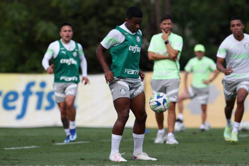 Palmeiras Agora  Novidade na Libertadores, melhores do mundo e desfalques  fortes