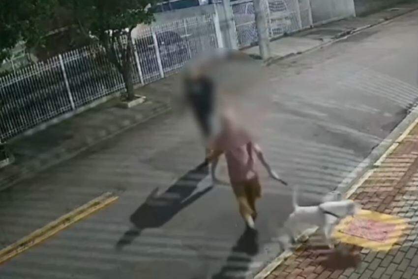 Imagem de câmera mostra tutor com o bull terrier na rua após o ataque a Fox