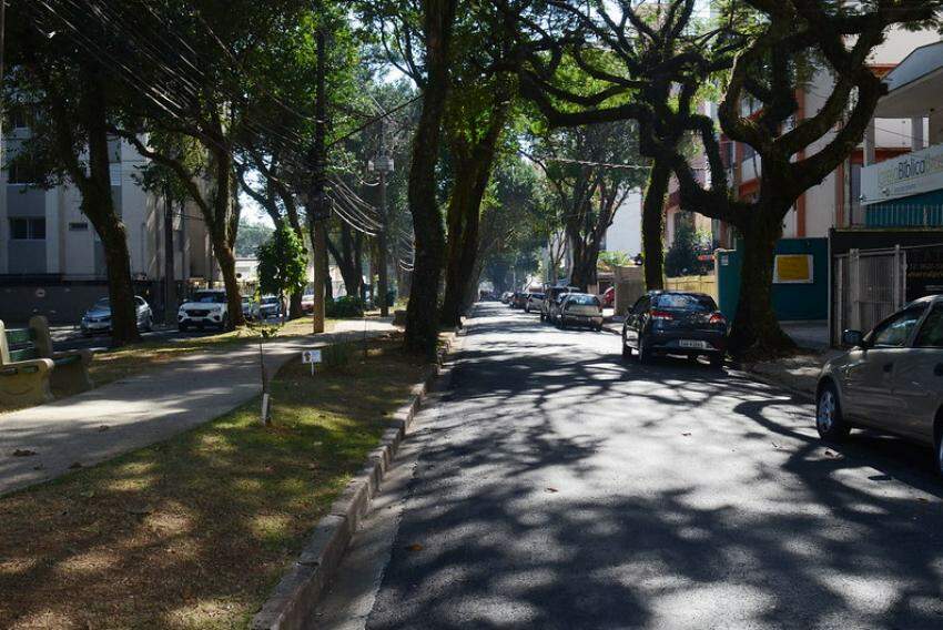 Avenida Tívoli, na região central de São José, uma das vias mais arborizadas da cidade