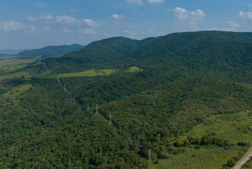 As árvores serão plantadas na áreas de amortecimento da Serra do Japi e também às margens do Rio Jundiaí