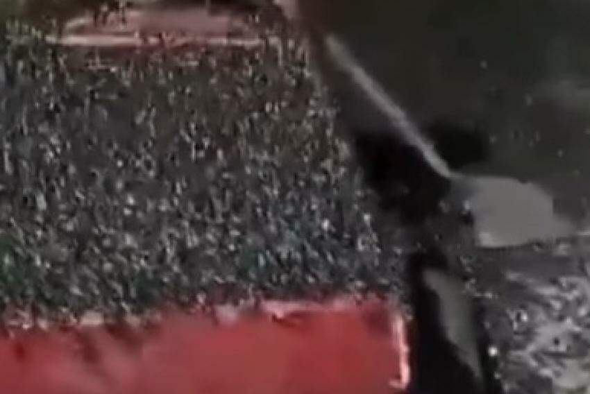 Em imagens divulgadas nas redes sociais é possível ver centenas de insetos nas ruas e calçadas