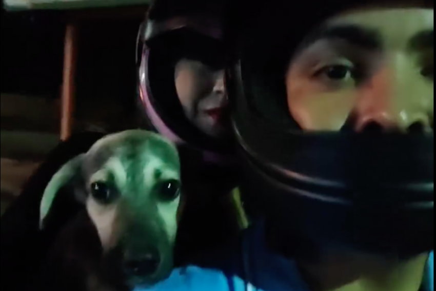 Em vídeo publicado no Instagram, o cachorro aparece correndo atrás da moto de um casal.