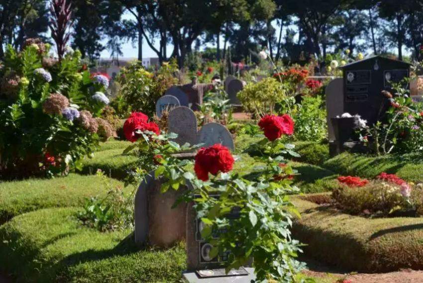 Flores em lápides de cemitério de Franca