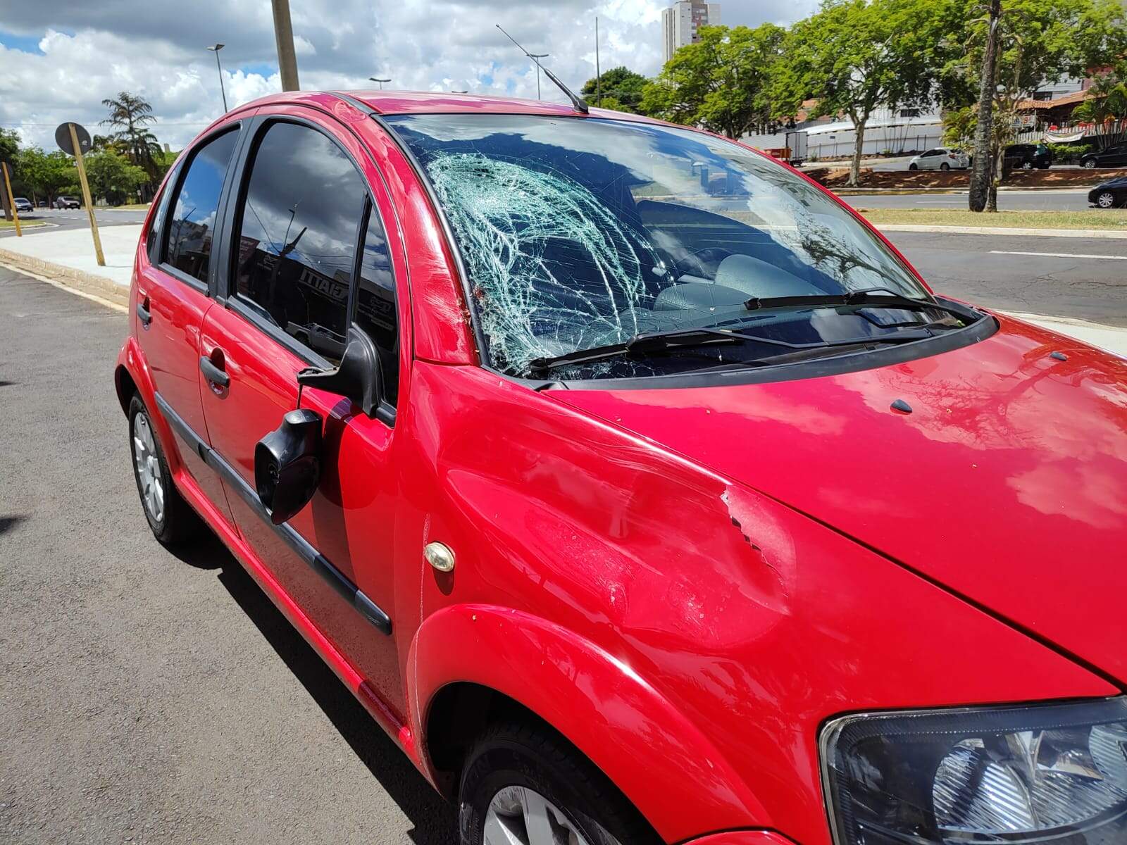 Automóvel que atropelou o idoso de 84 anos era conduzido por uma jovem de 25 (Bruno Freitas)