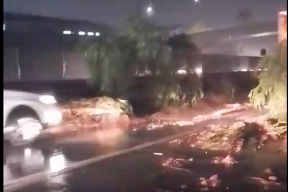 VÍDEO: Chuva derruba barranco na via Dutra, em Guará