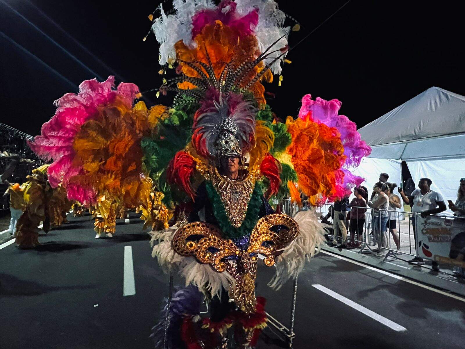 Desfile da escola de samba Mocidade Unida da Vila Falcão - Grazielly Zagatto