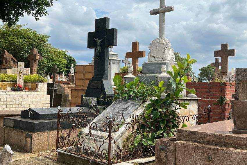 Cemitério da Saudade: se projeto for aprovado, local pode receber sepultamento de animais