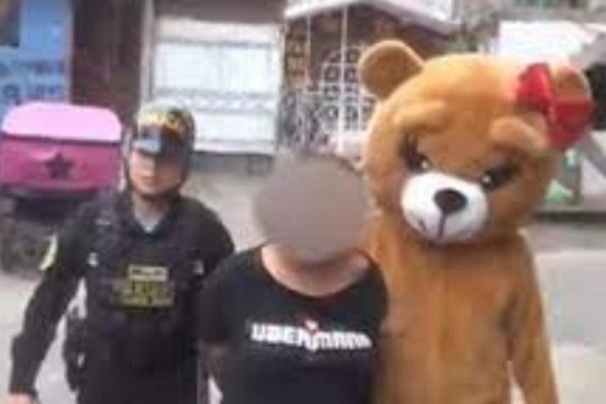 VÍDEO: Disfarçado de urso de pelúcia, policial prende suspeita de tráfico  de drogas