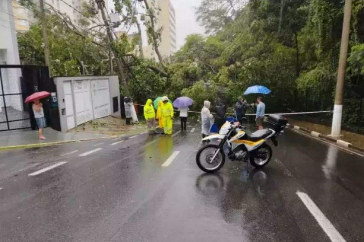 Morte no Bosque dos Jequitibás aconteceu no dia 28 de dezembro