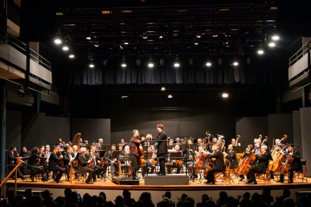 Obra 'Concerto Místico para Cello e Orquestra' é uma composição em três movimentos