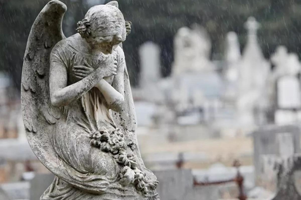 Dados são disponibilizados pela Urbam