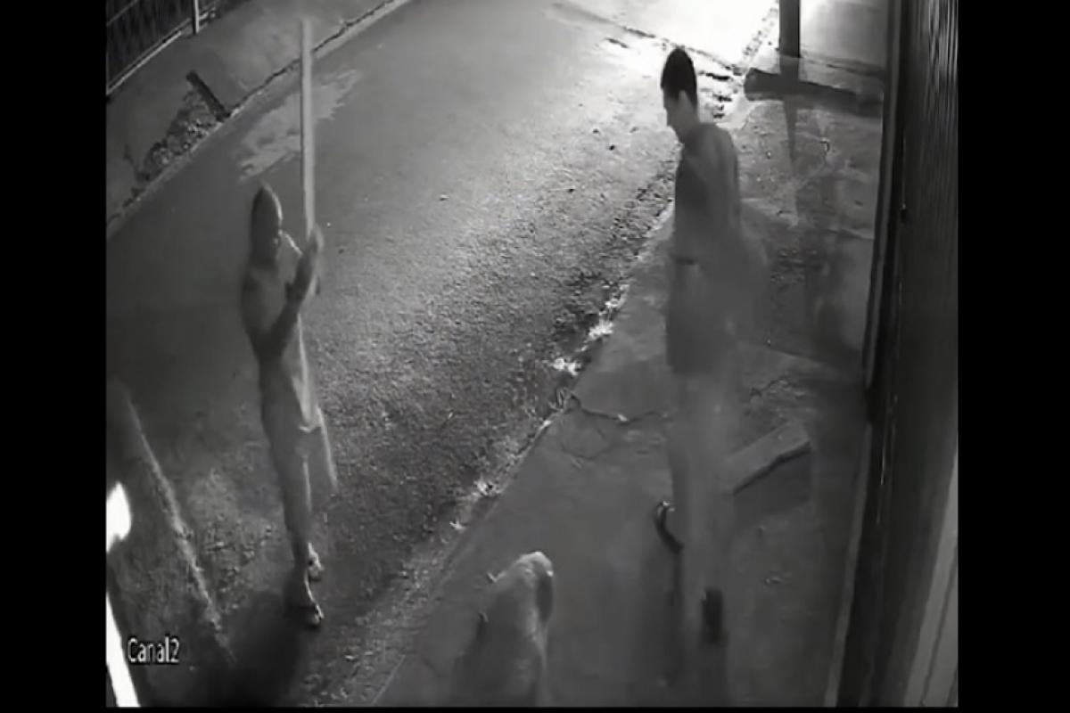 Vídeo mostra homens atacando brutalmente a capivara