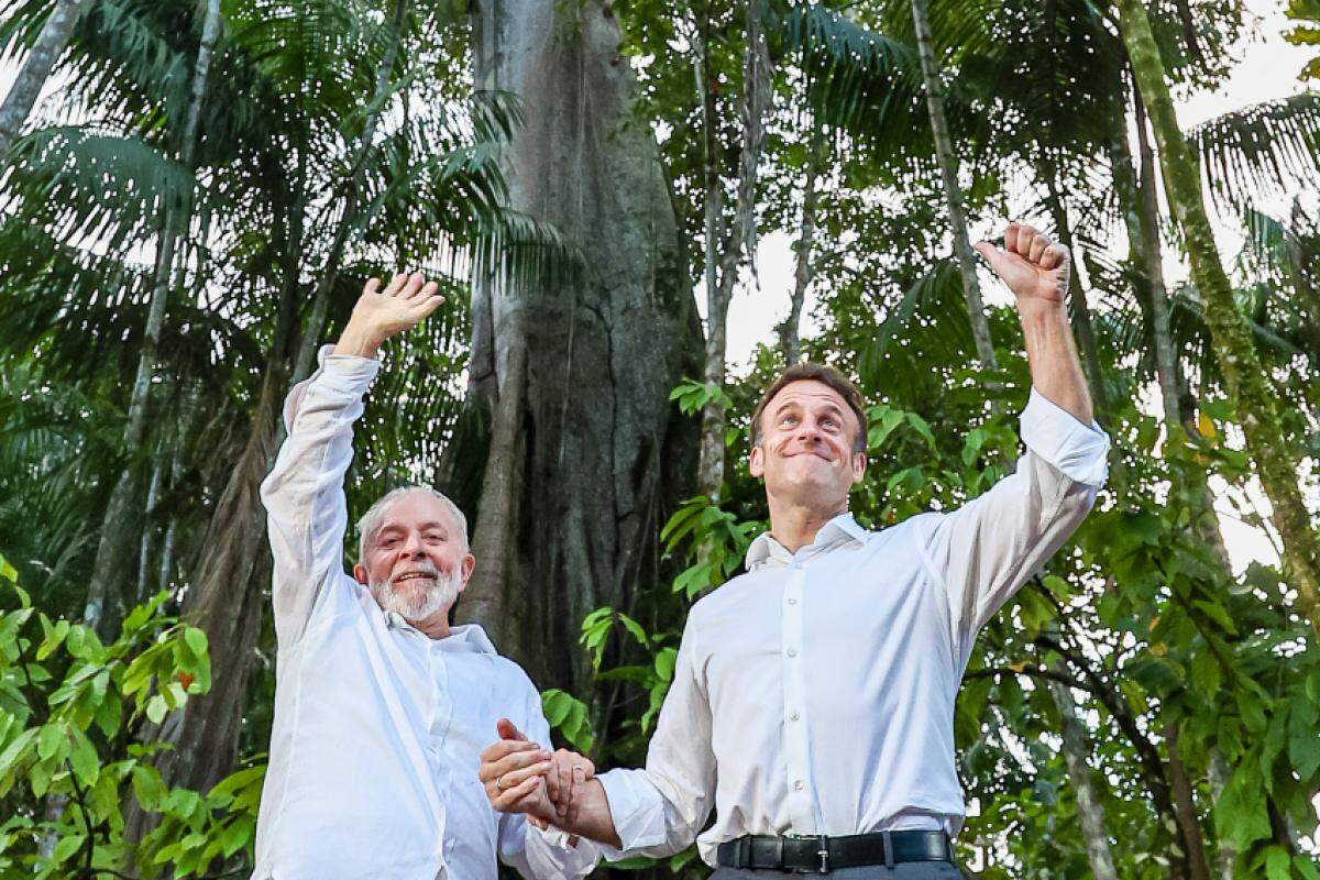 Lula e Emmanuel Macron junto à Sumaúma, a maior árvore da Amazônia, na Ilha Combu