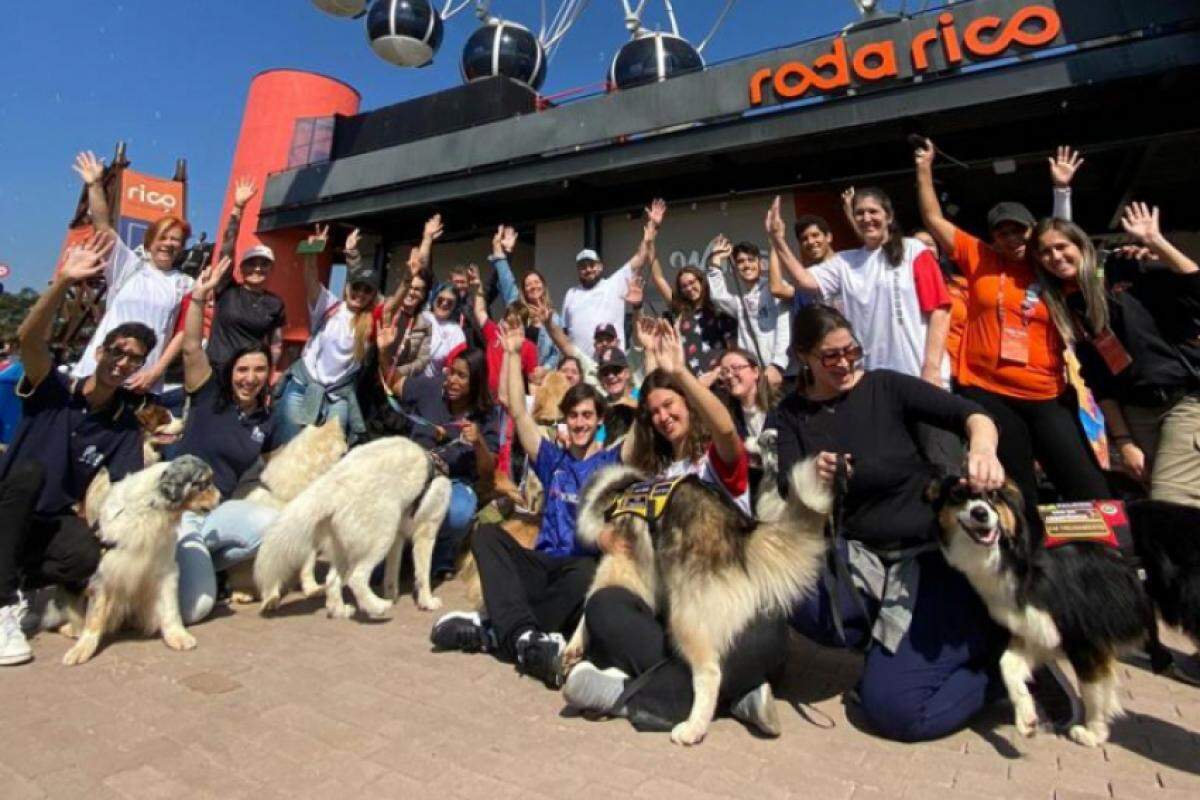 A maior roda-gigante da América Latina cederá seu espaço ao Instituto Reddogs