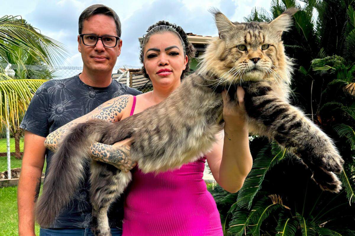 Marcia Oliveira e Jean Martins com o gato Xartrux