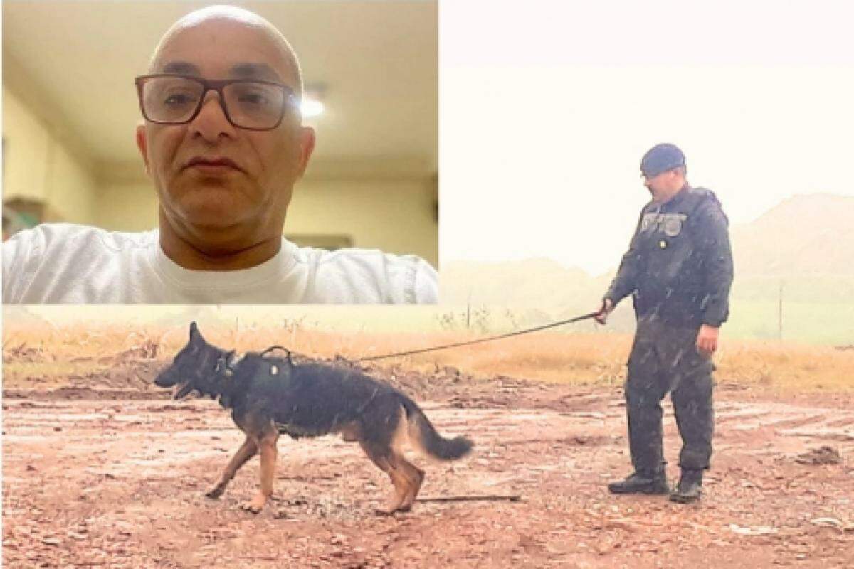 Os cães da Guarda Civil de Capivari auxiliam nas buscas 