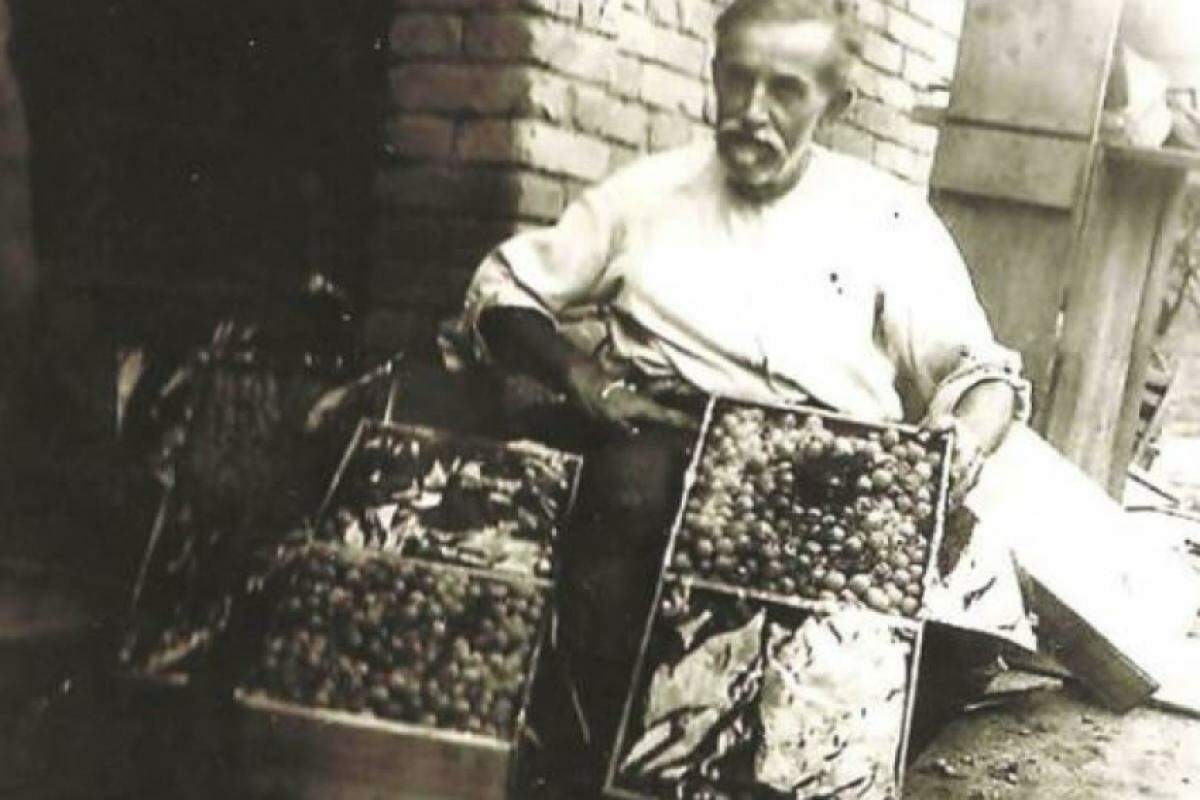 Antônio Carbonari e as primeiras caixas de uva Niagara Rosada