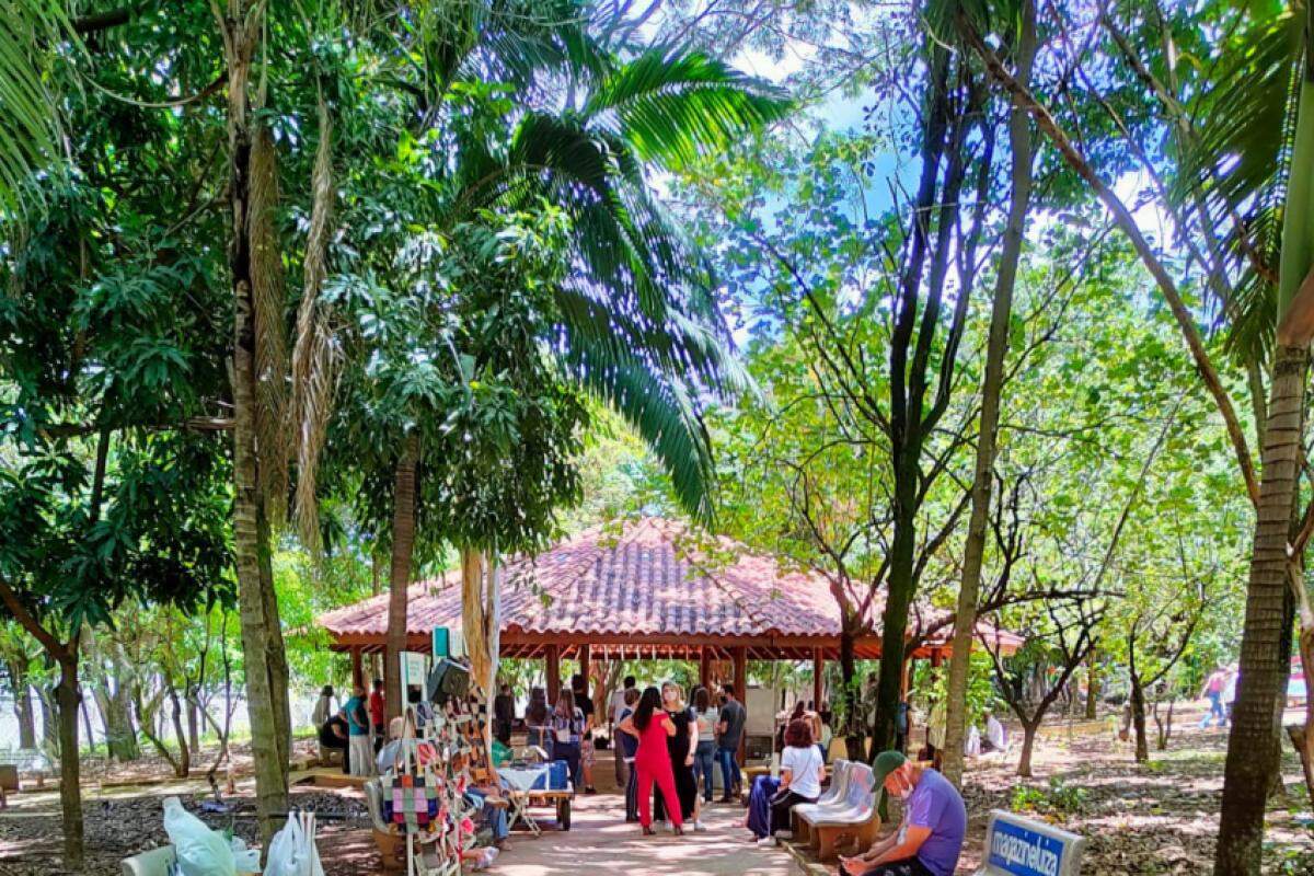 Bosque Beija-Flor, localizado na Fundação Allan Kardec, será palco do encontro de aprendizado e reflexão