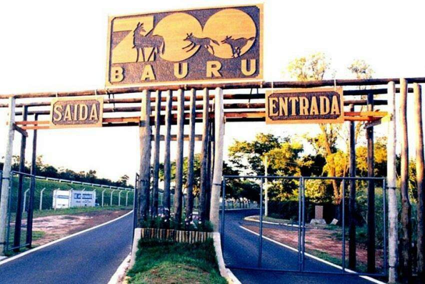 O Jardim Botânico fica na Rodovia Comandante João Ribeiro de Barros (SP-225), quilômetro 232, acesso pelo Zoológico Municipal