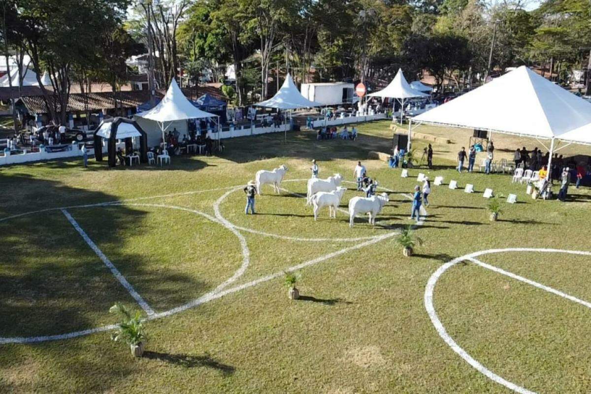 Preparação do Parque de Exposições 'Fernando Costa' para a Expoagro