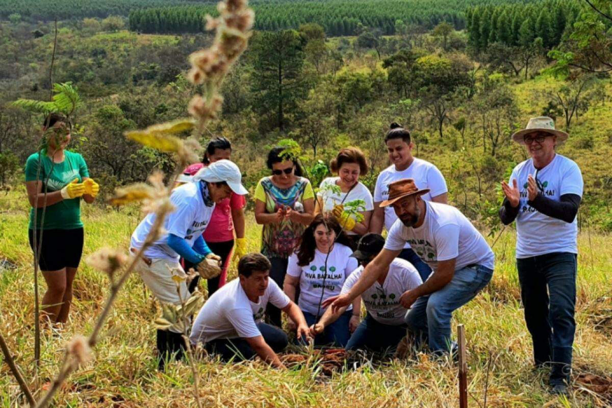 Voluntários do Viva Batalha plantando pau-brasil