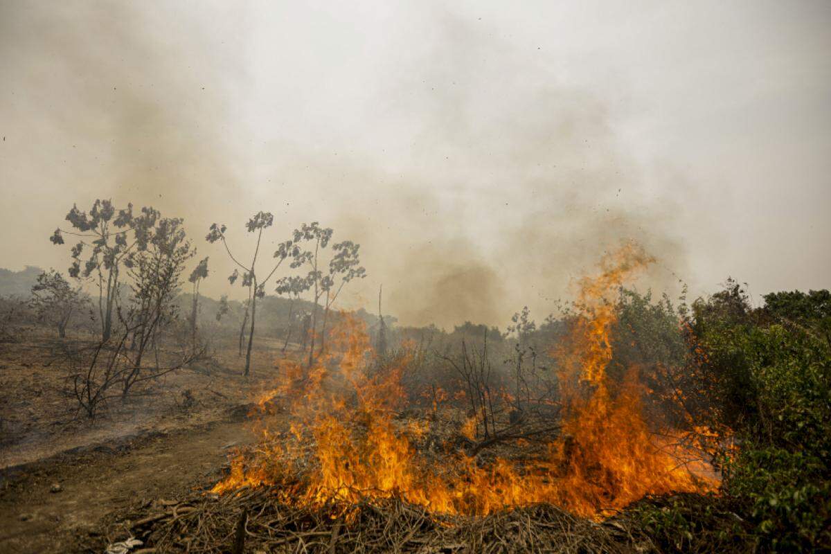  Incêndio florestal que atinge o Parque Nacional do Pantanal Mato-Grossense, em novembro do ano passado