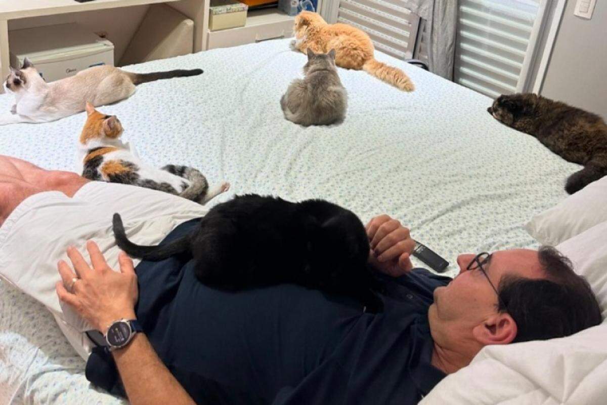 Anderson rebateu a acusação e postou foto rodeado de gatos