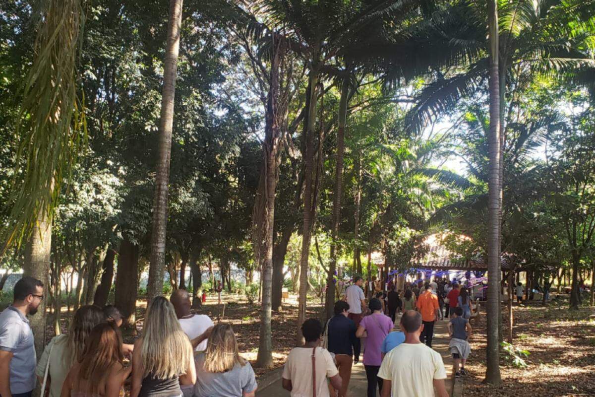 Sábado foi dia de conexão com a natureza no Bosque Beija-Flor, da Fundação Allan Kardec