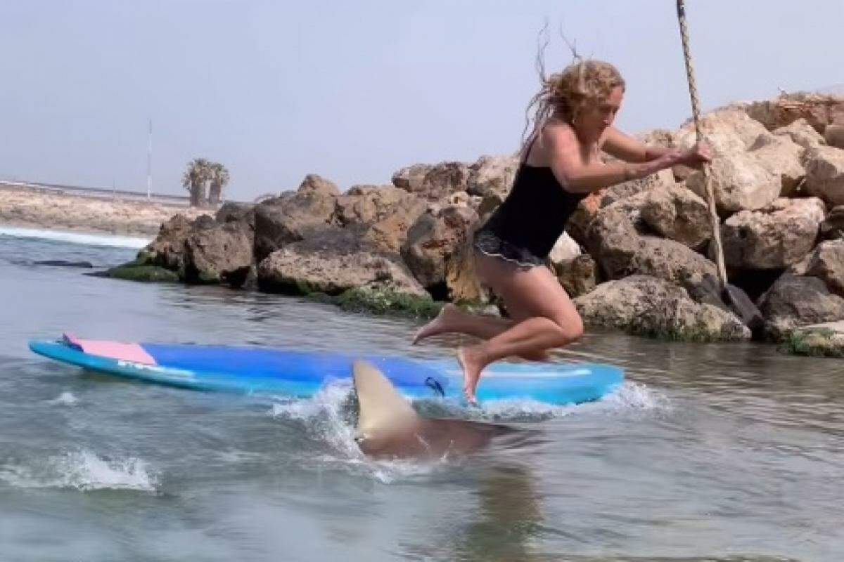 Mulher é derrubada da prancha e cai em cima do tubarão