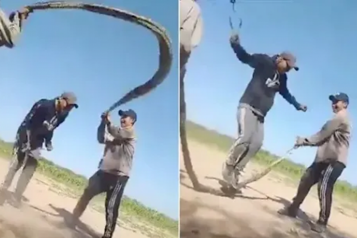 Homens usam cobra gigante viva para 'pular corda' e provocam revolta
