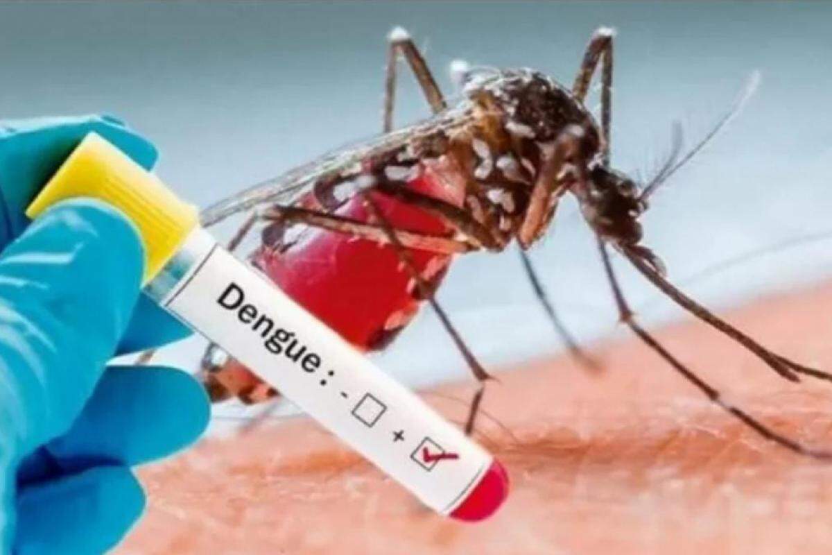 Franca e cidades da região vão receber vacina contra a dengue