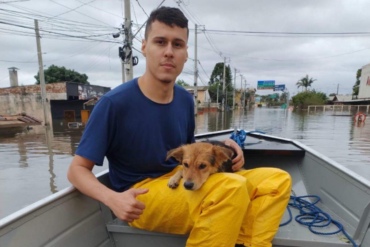 Cachorro resgatado pela Defesa Civil de Campinas 