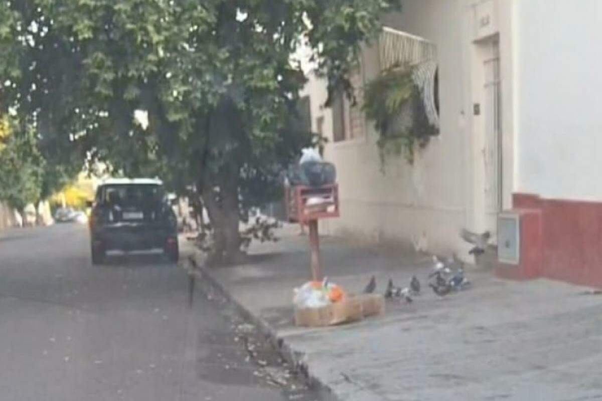 Pombos em calçada de rua de Araçatuba: criar um ponto de alimentação faz com que eles se aglomerem naquele espaço