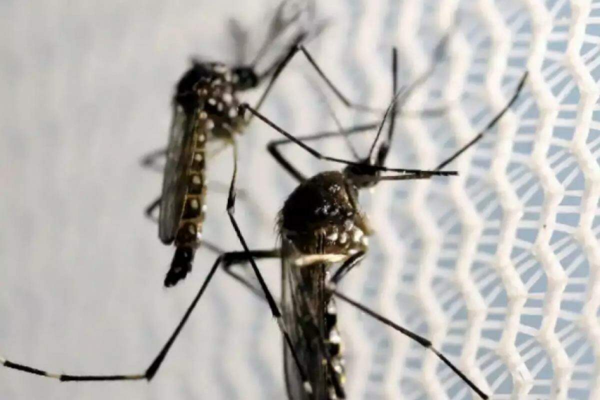Prefeitura realiza mutirão de combate a dengue 