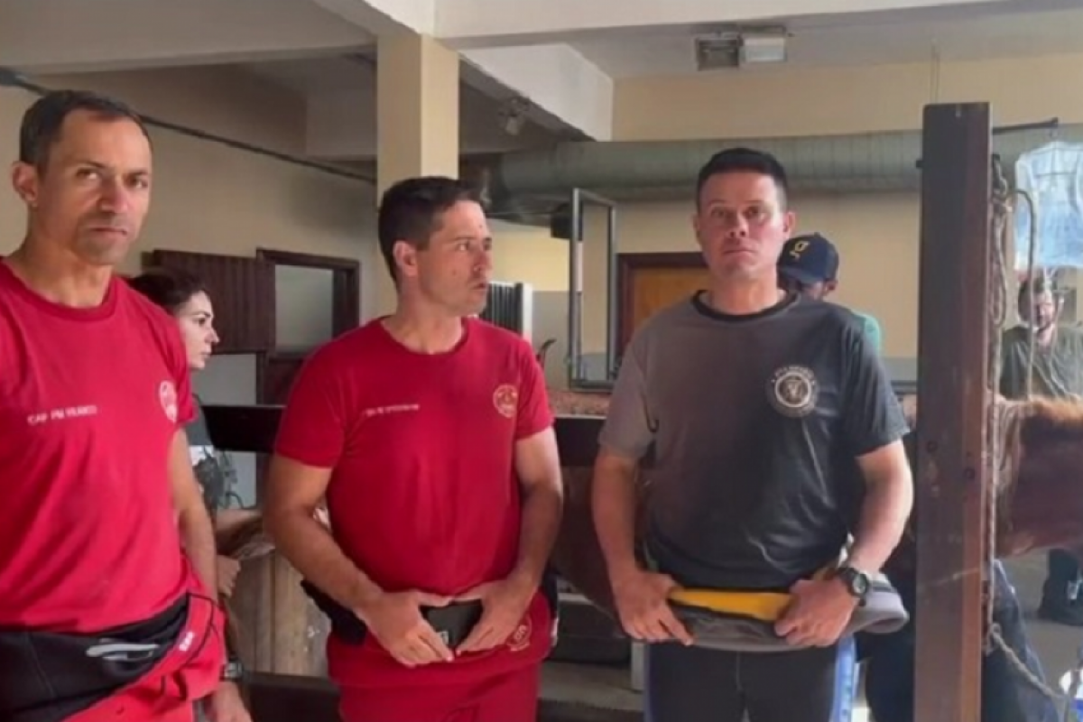 Bombeiros e veterinário gravaram um vídeo explicando a missão no RS