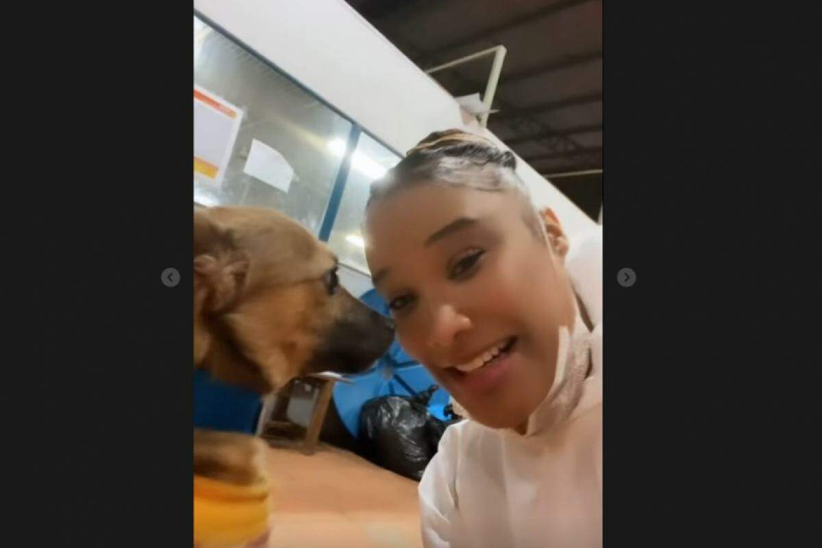 Leilah Moreno grava vídeo ao lado de cachorro em abrigo