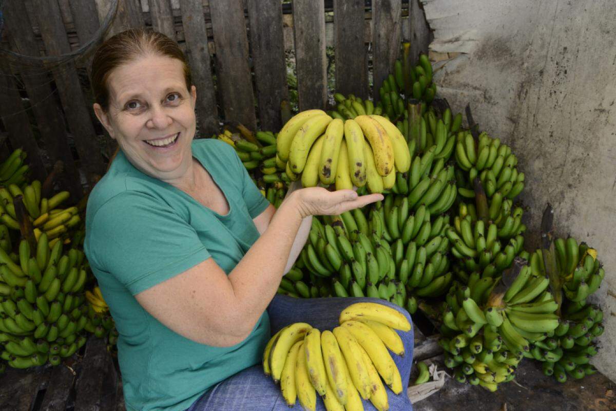 Sandra Vendramin está colhendo menos bananas e diz que as frutas têm ficado menores com a falta d'água