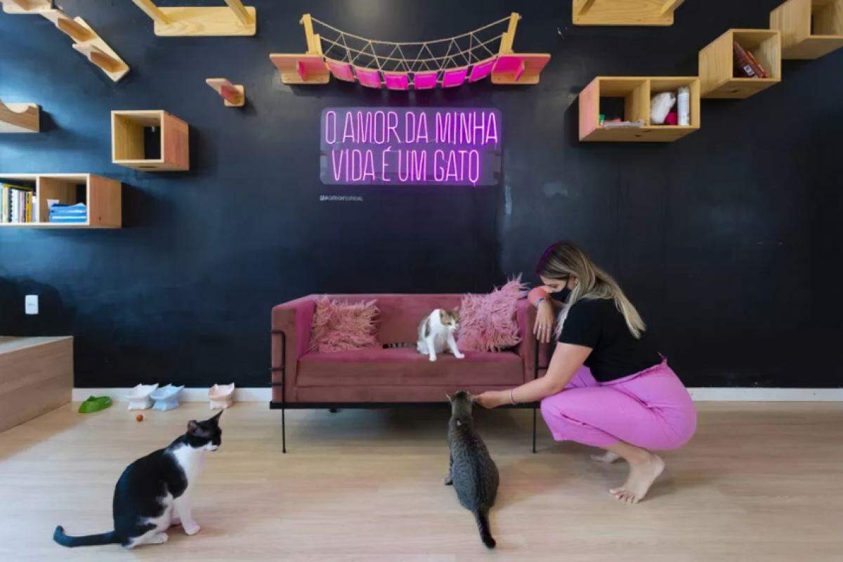 O Gato Café se destaca não só pelo seu conceito diferenciado, mas também pela qualidade de seus produtos