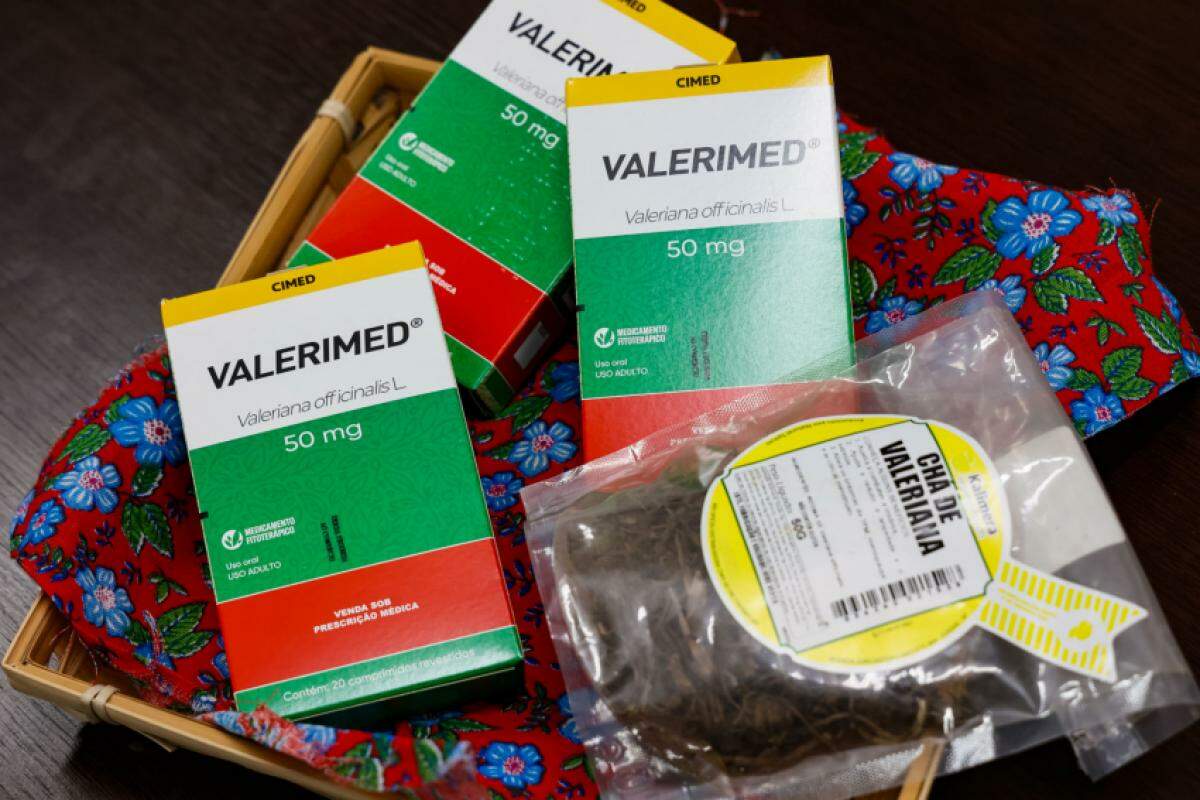 Os fitoterápicos são medicamentos feitos com plantas medicinais