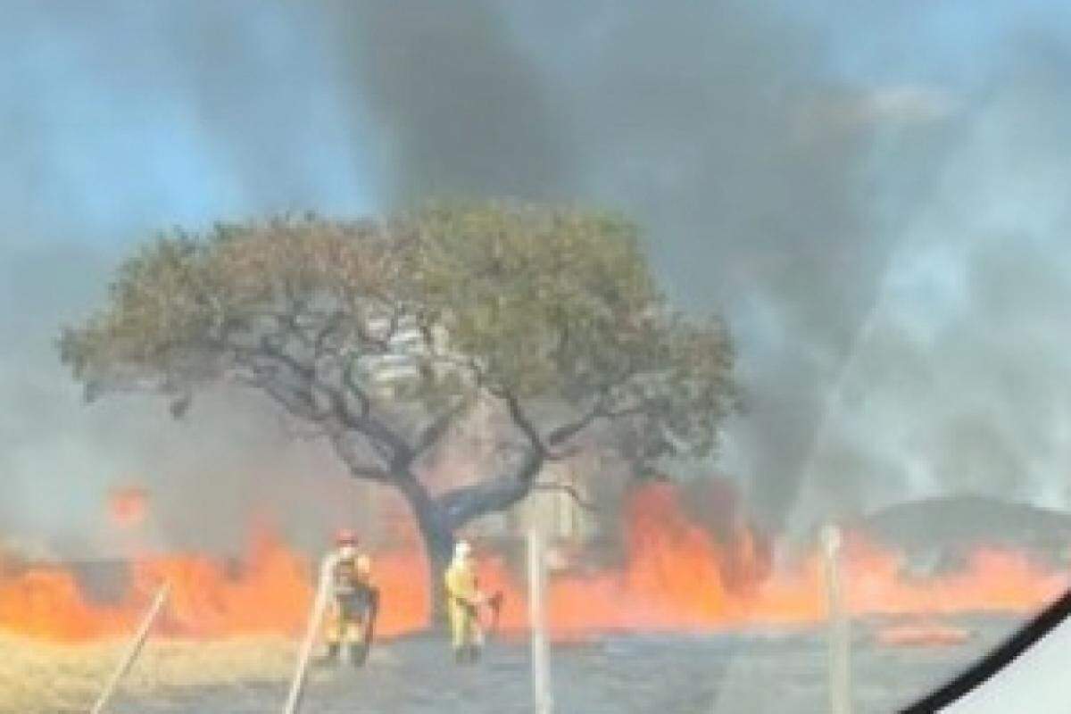 Bombeiros apagando fogo em pasto