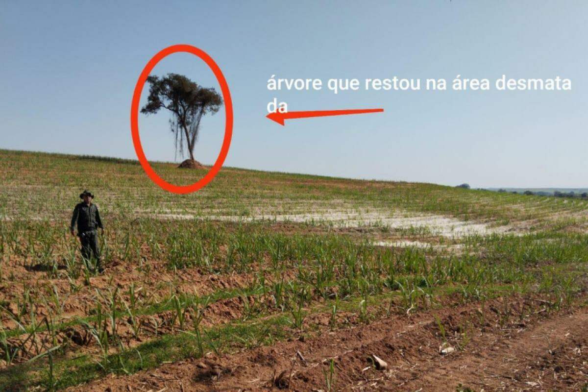 O proprietário rural é responsável por desmatar uma área de 2 hectares