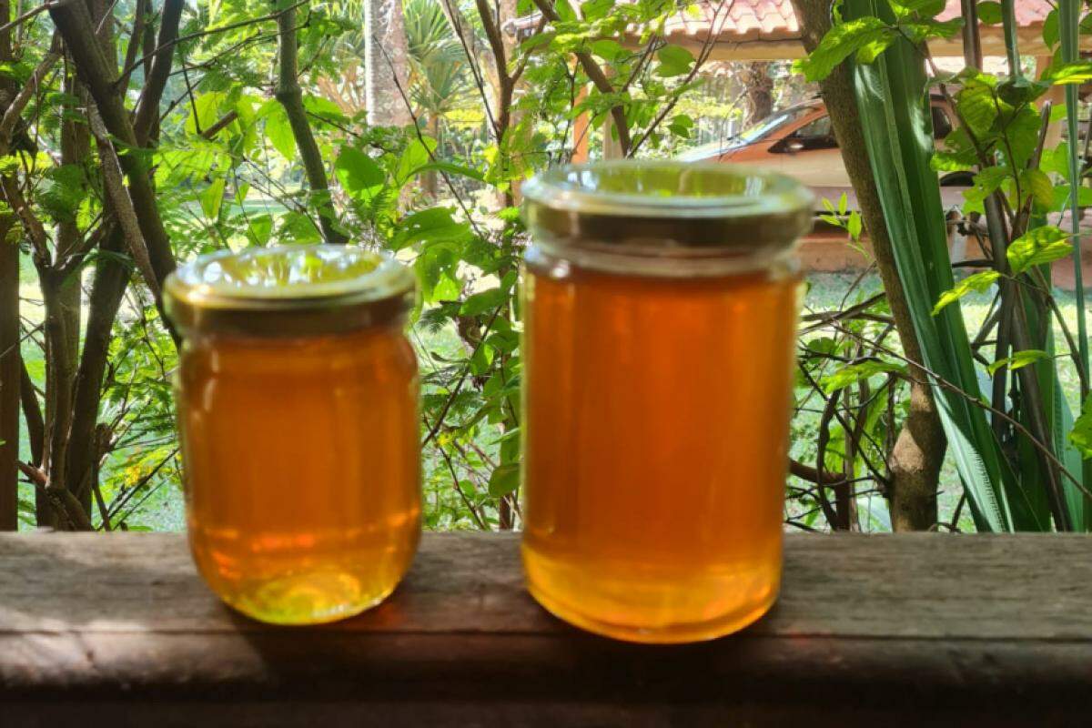 No Brasil, é natural que a população identifique o mel como uma forma de medicar