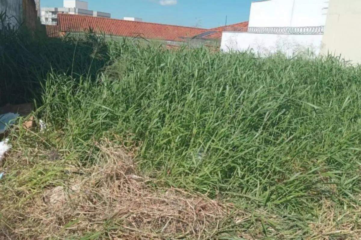 Os terrenos notificados estão presentes em 31 bairros de Franca