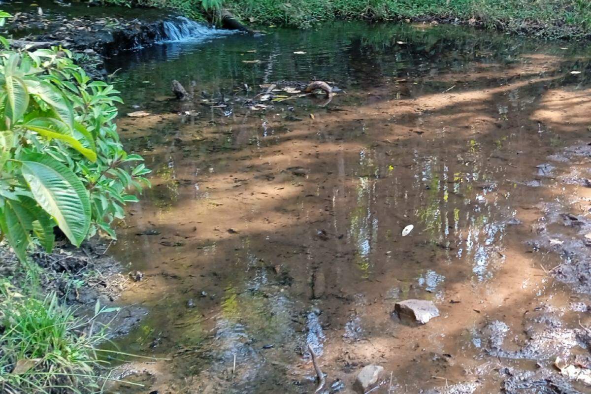 Imagem do riacho na fazenda onde o caseiro foi encontrado na tarde desta quarta-feira, 31