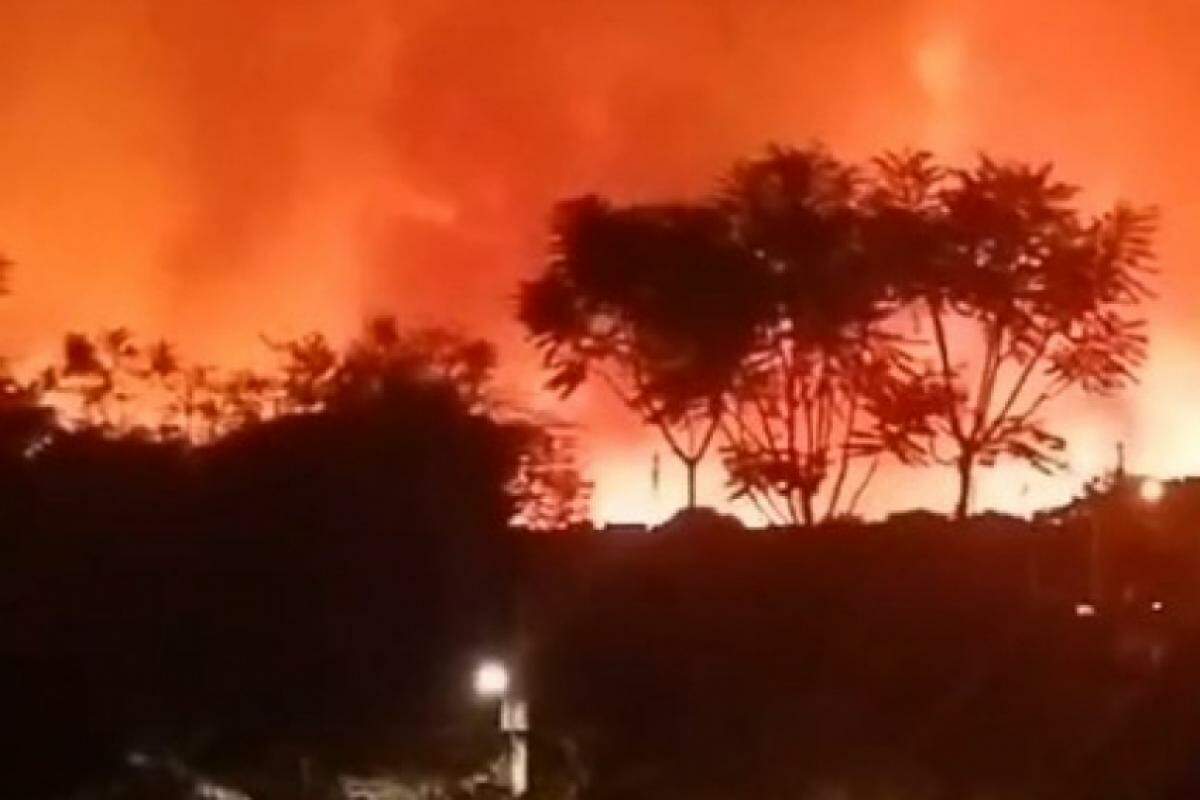 Incêndio atingiu área de mata às margens de estrada vicinal de São José da Bela Vista