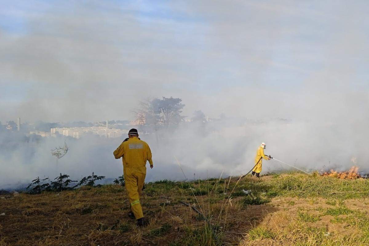 Equipe do Corpo de Bombeiros tenta controlar as chamas na tarde desta quarta-feira, 24